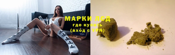 СК Бородино