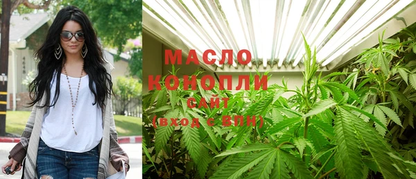 СК Бородино