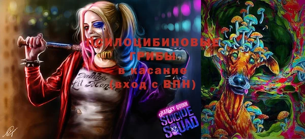 гашик Бугульма