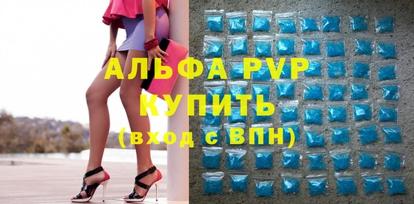 СК Бородино