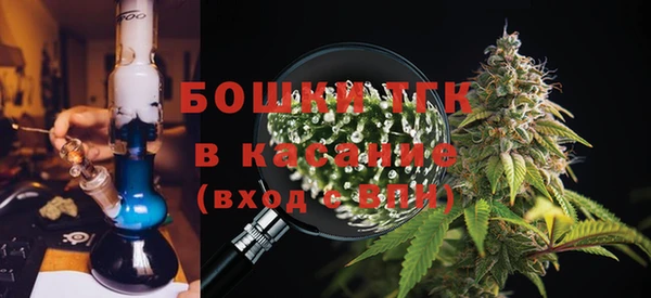 СК Бородино