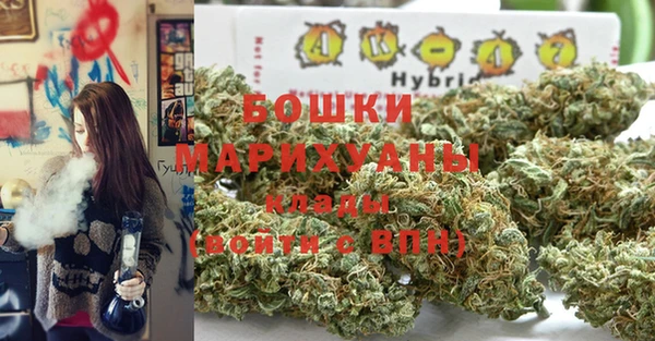 СК Бородино