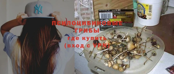 СК Бородино