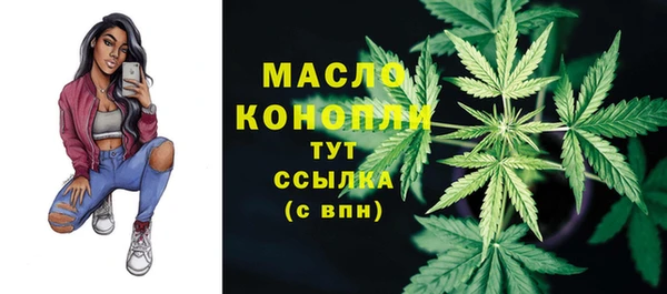 СК Бородино