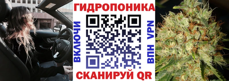 Конопля MAZAR  Нестеров 